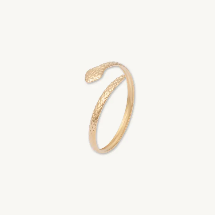 Snake Open Cuff Bangle Camile Stone Rings