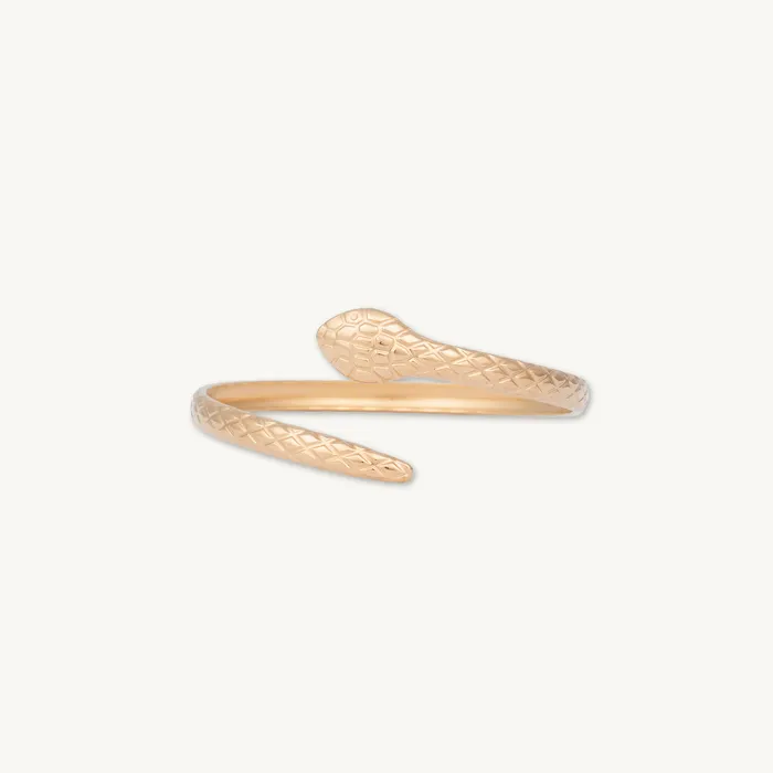 Snake Open Cuff Bangle Camile Stone Rings