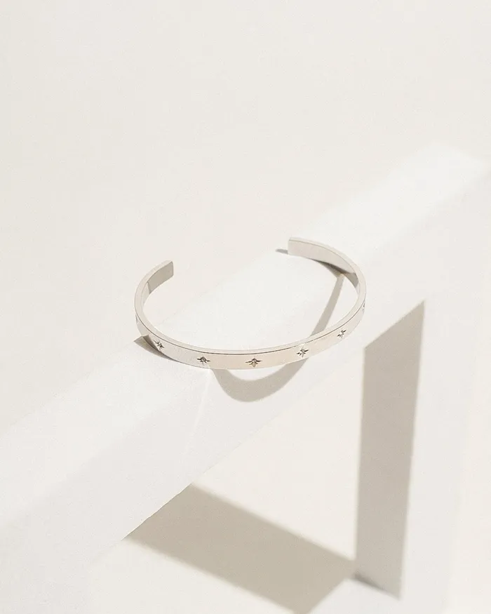 Sunspell Rings Holly Silver
