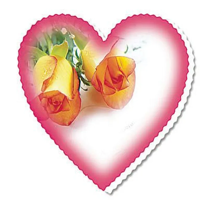 Necklaces Heart Cards Noblepack CA