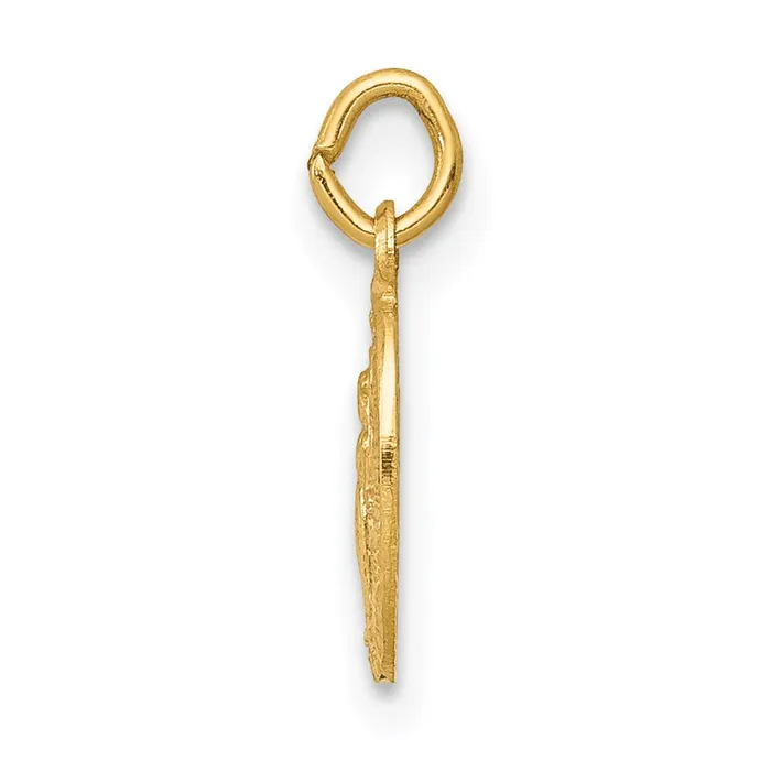 Qgold 14k Yellow Gold 7 mm Miraculous Medal Charm 024 grams Charm Necklaces