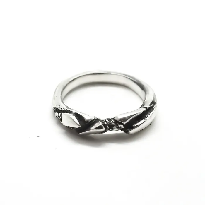 Rings OSSOSS DWINGELOO RING