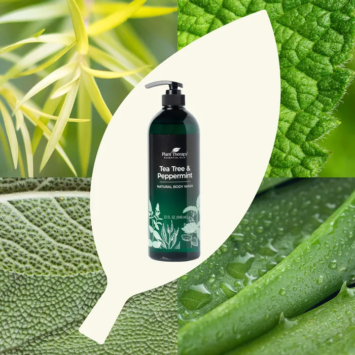 Tea Tree Peppermint Body Wash Plant Therapy Necklaces